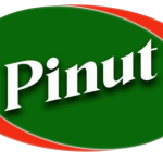 Pinut logo