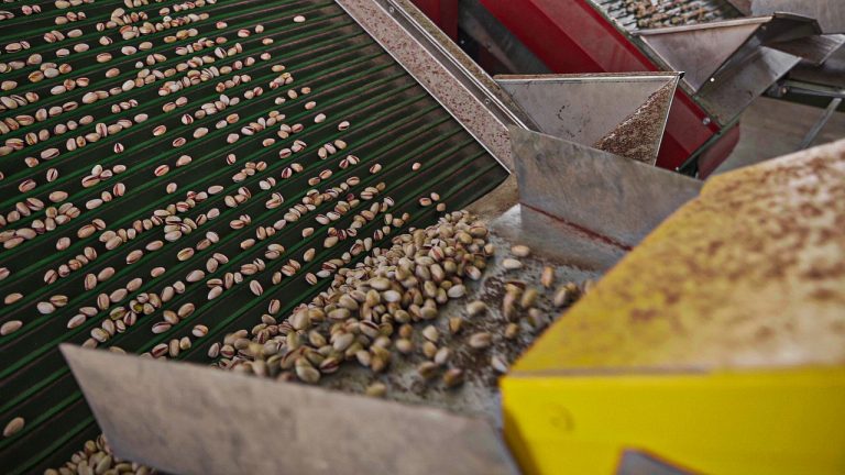 A picture of pistachio sorting machine