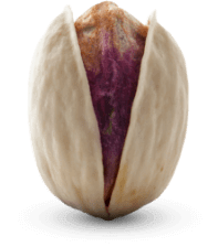 Jumbo pistachio iran