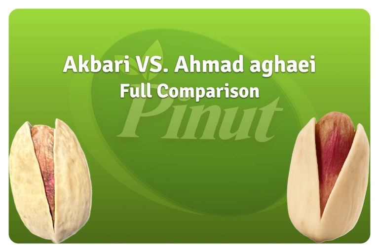 Akbari Vs. Ahmad Aghaei Pistachio: Full comparison