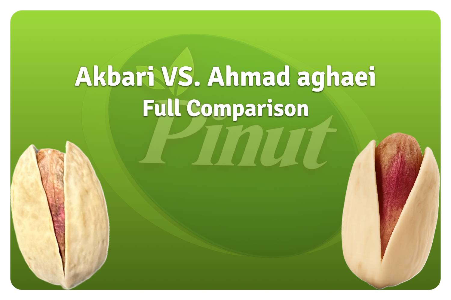 Akbari Vs. Ahmad Aghaei Pistachio: Full comparison