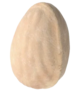 Premium Iranian closed shell pistachio