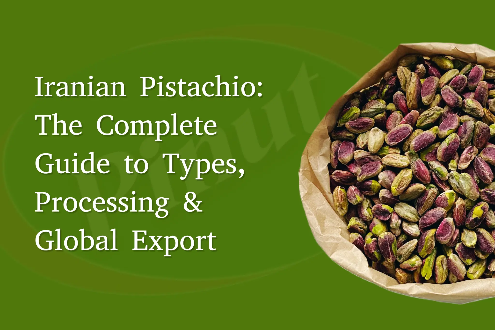 Iranian Pistachios: The Complete Guide to Types, Processing & Global Export