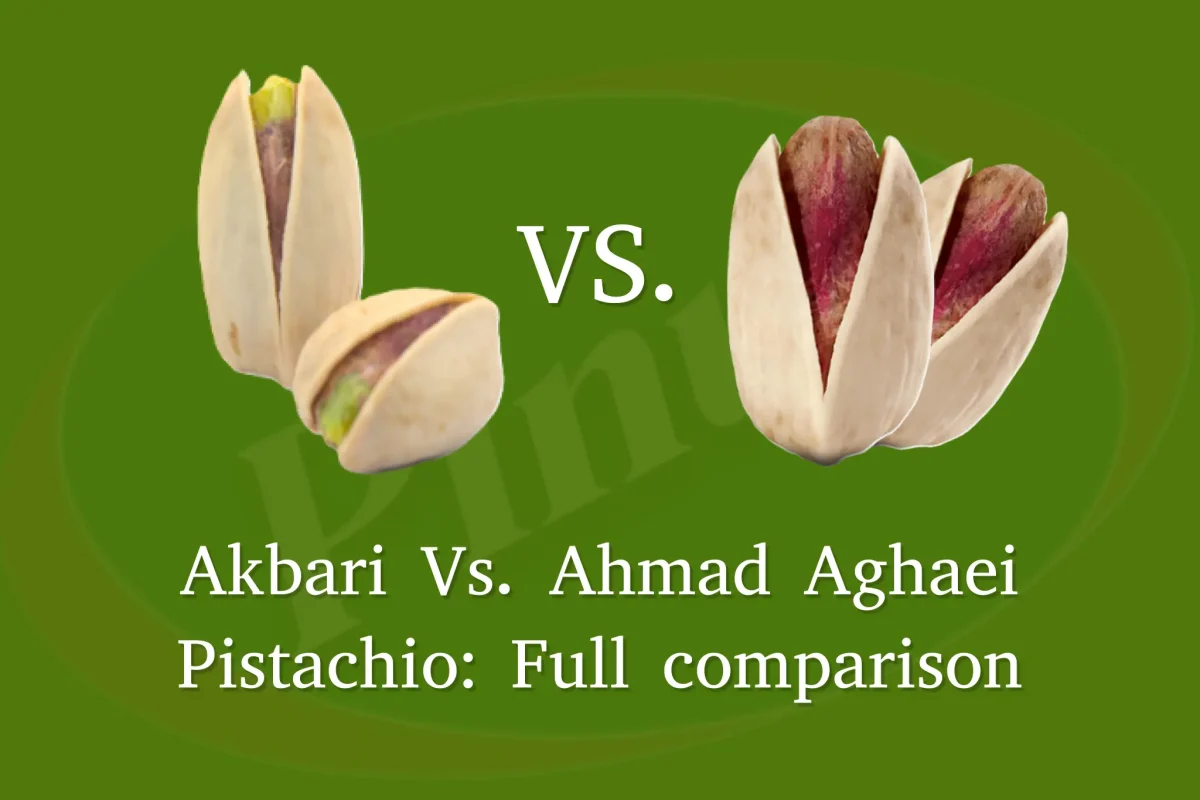 Akbari Vs. Ahmad Aghaei Pistachio: Full comparison