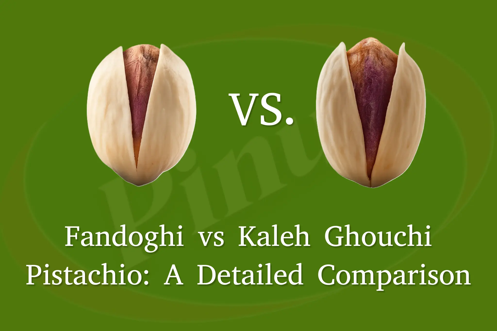 Fandoghi vs Kaleh Ghouchi Pistachio: A Detailed Comparison