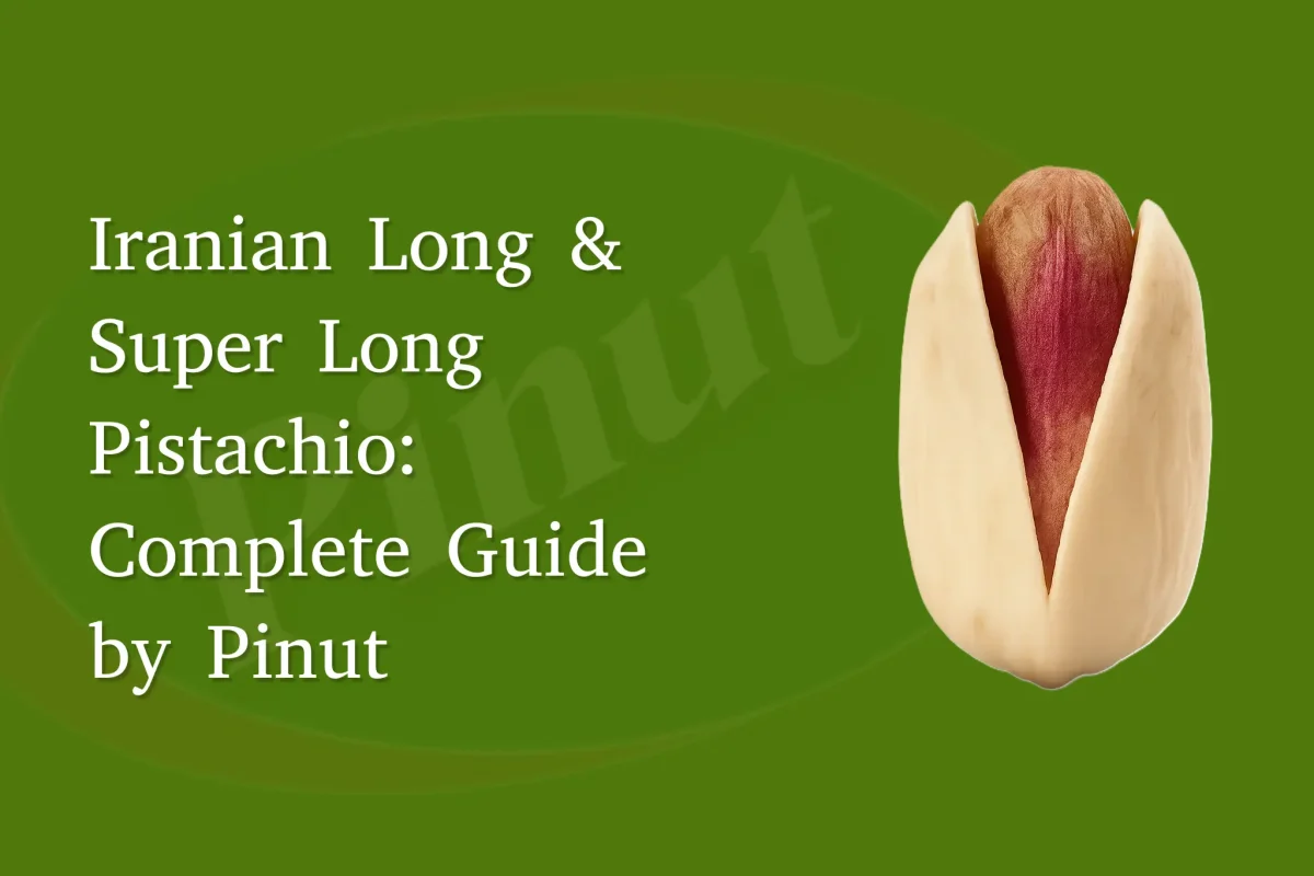 Iranian Long & Super Long Pistachio: Complete Guide by Pinut