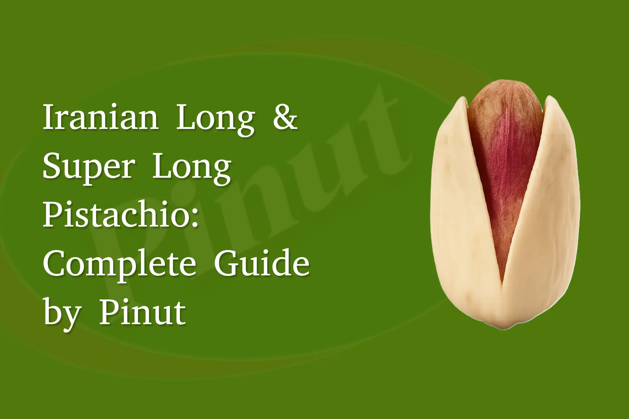 Iranian Long & Super Long Pistachio: Complete Guide by Pinut
