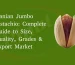 Iranian Jumbo Pistachio (Kalleh Ghouchi): Complete Guide to Size, Quality, Grades & Export Market