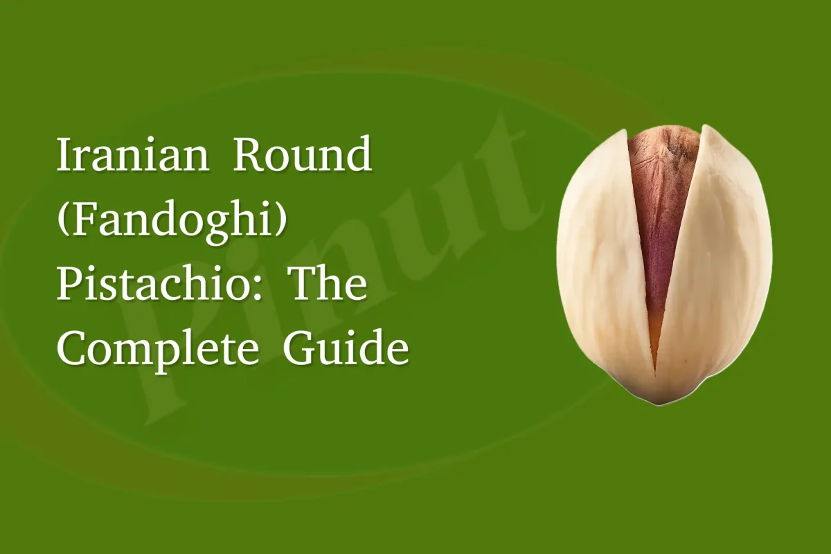 Iranian Round (Fandoghi) Pistachio: The Complete Guide