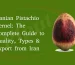 Iranian Pistachio Kernel: The Complete Guide to Quality, Types & Export from Iran
