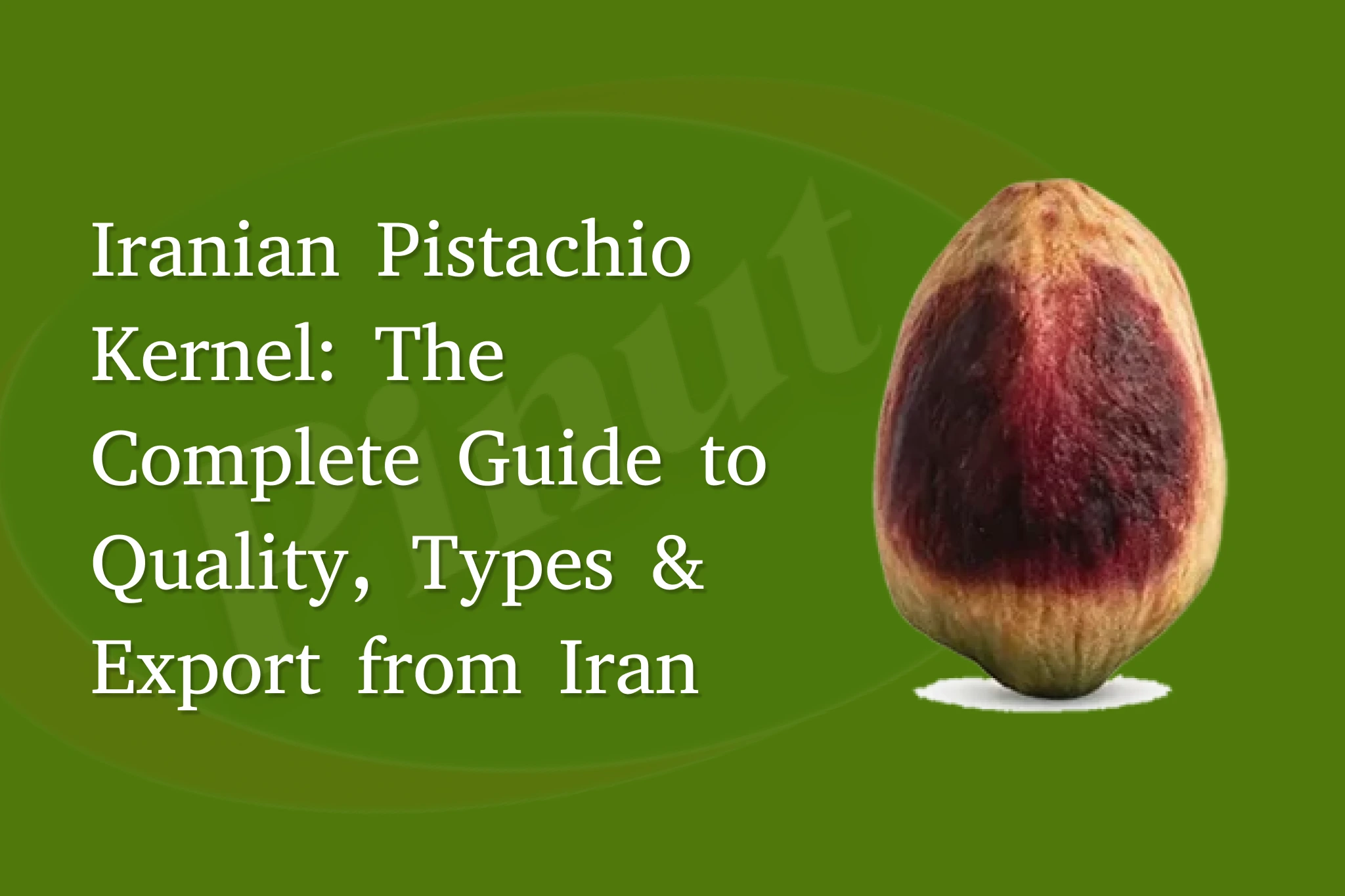 Iranian Pistachio Kernel: The Complete Guide to Quality, Types & Export from Iran