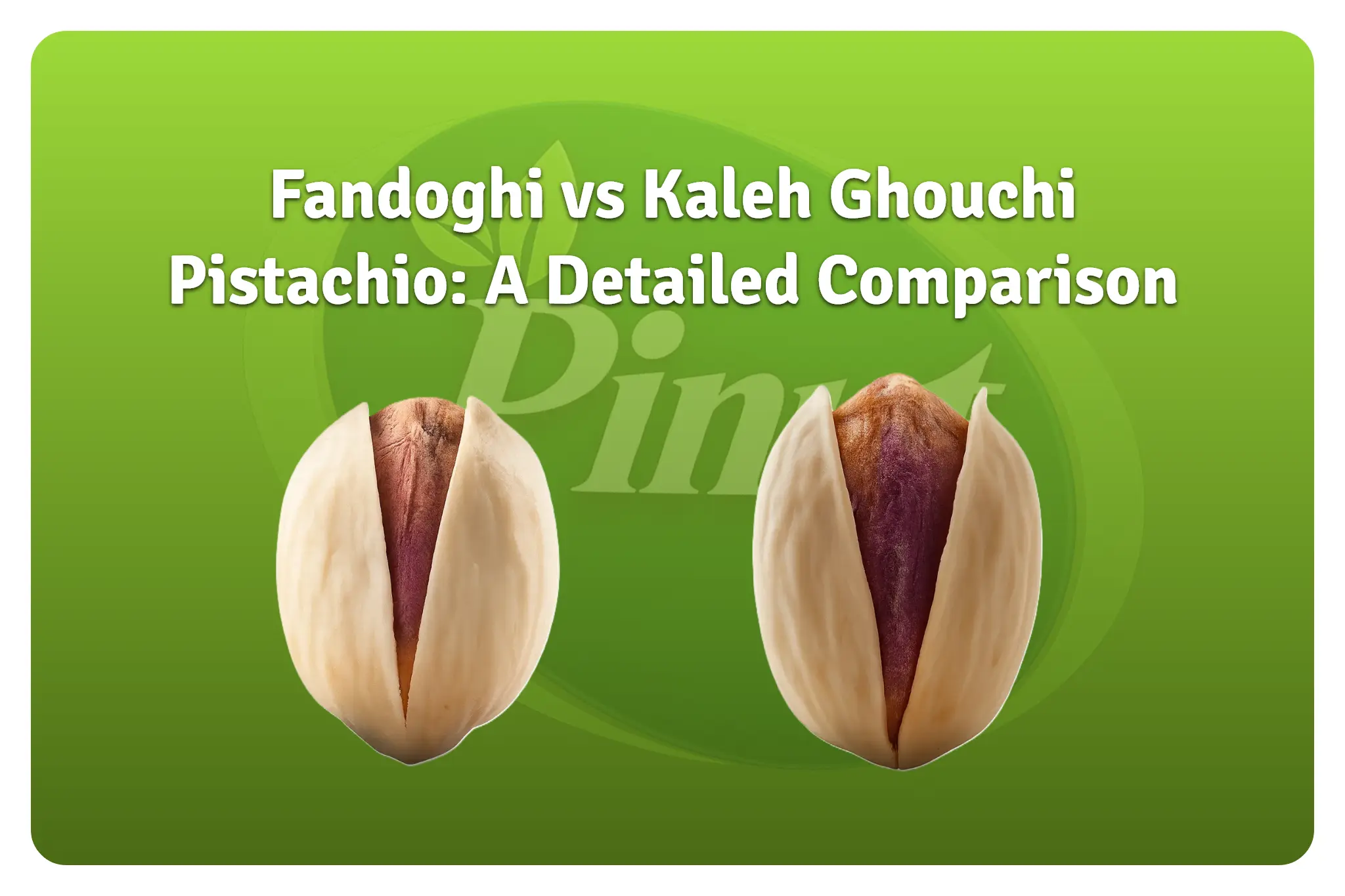Fandoghi vs Kaleh Ghouchi Pistachio: A Detailed Comparison