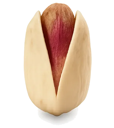 Premium Iranian long pistachio