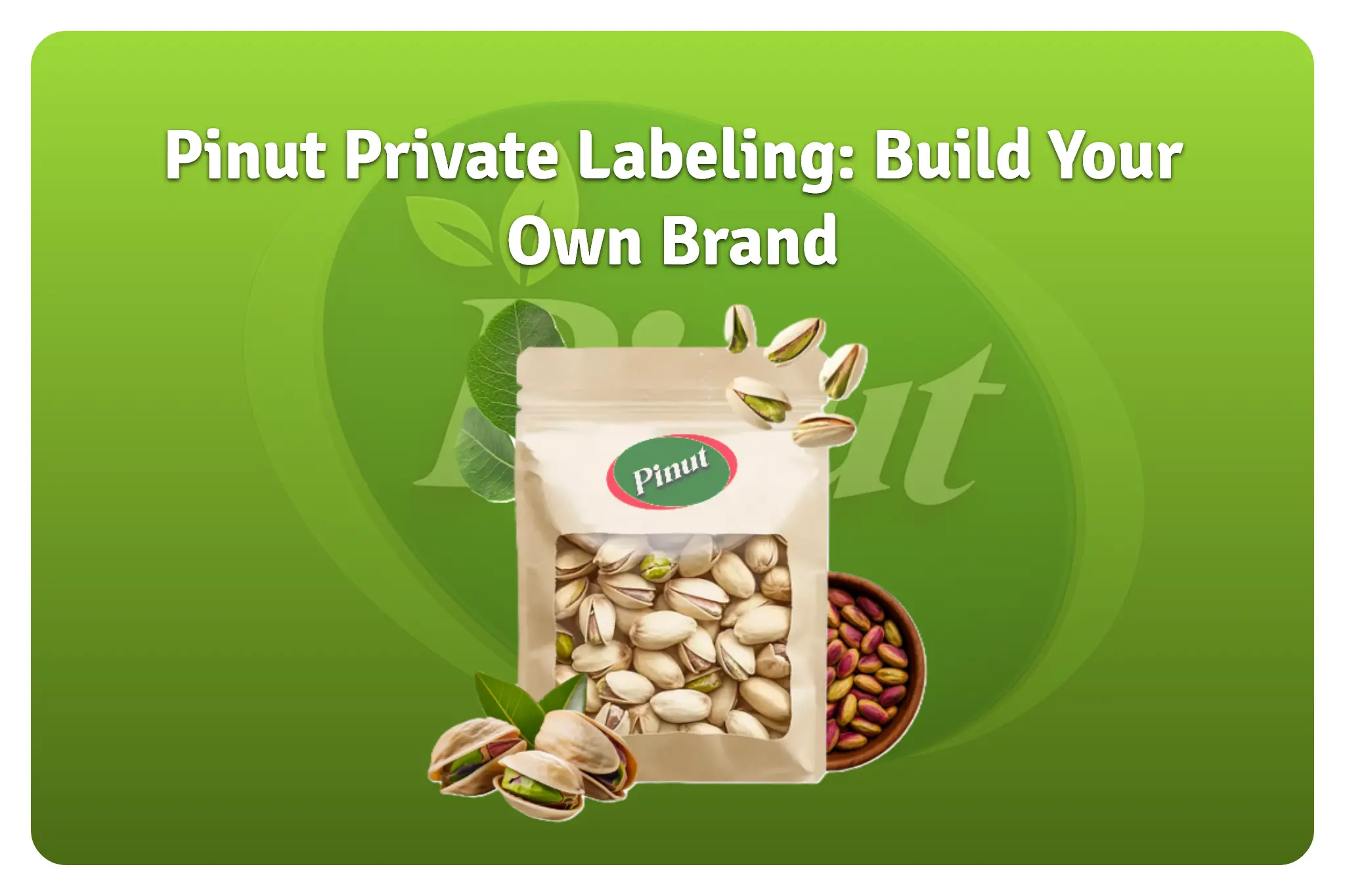 Pinut Private Labeling: Build Your Own Brand with Premium Iranian Pistachio Export