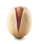 Premium Iranian Round pistachio