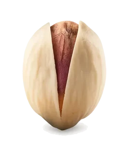 Premium Iranian Round pistachio
