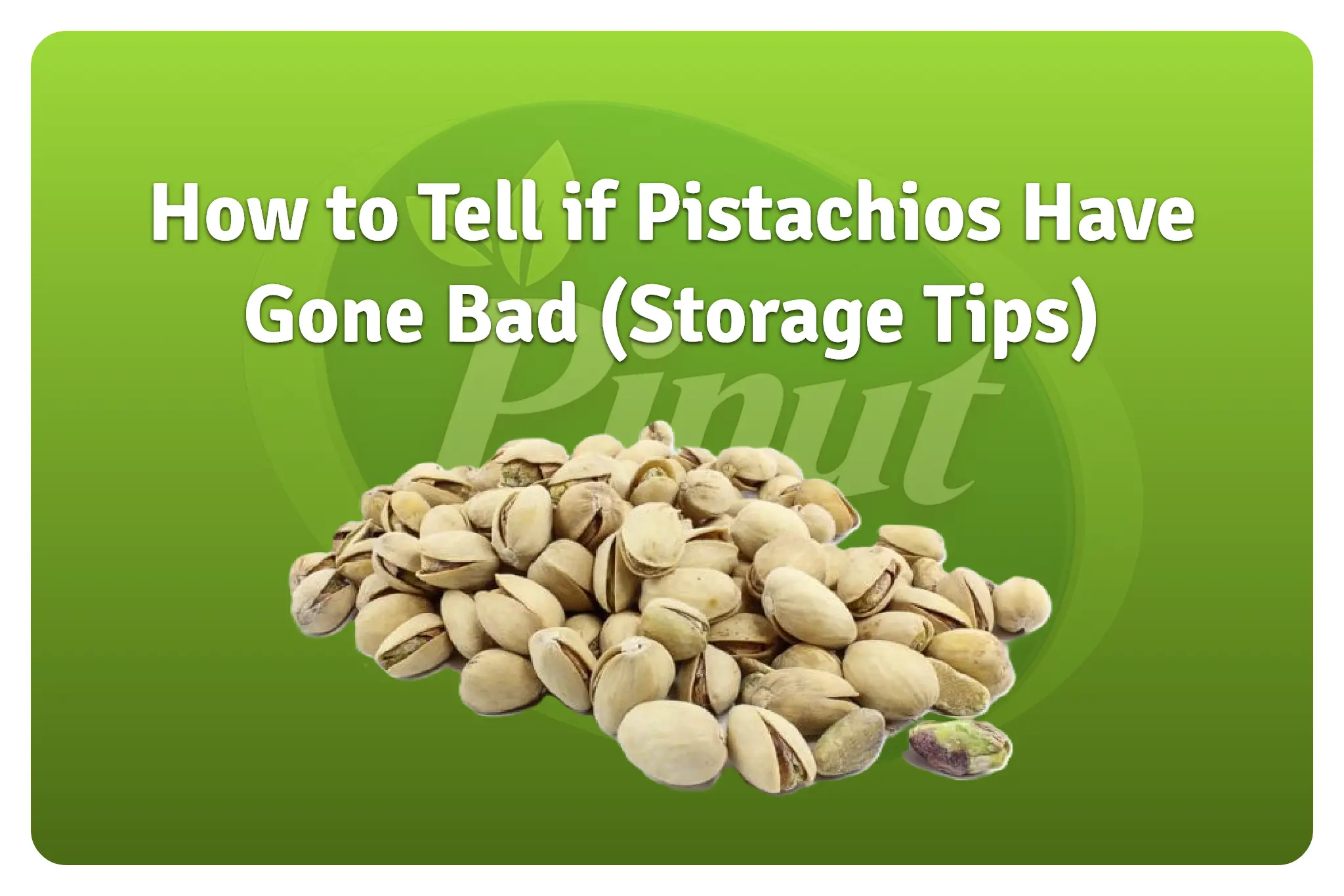 How to tell if pistachios have gone bad (featured image)