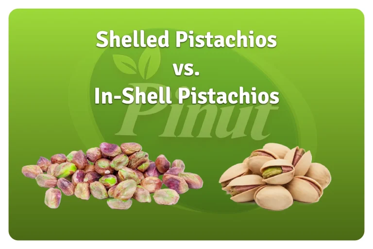 Shelled Pistachios vs. In Shell Pistachios The Ultimate Guide for Buyers
