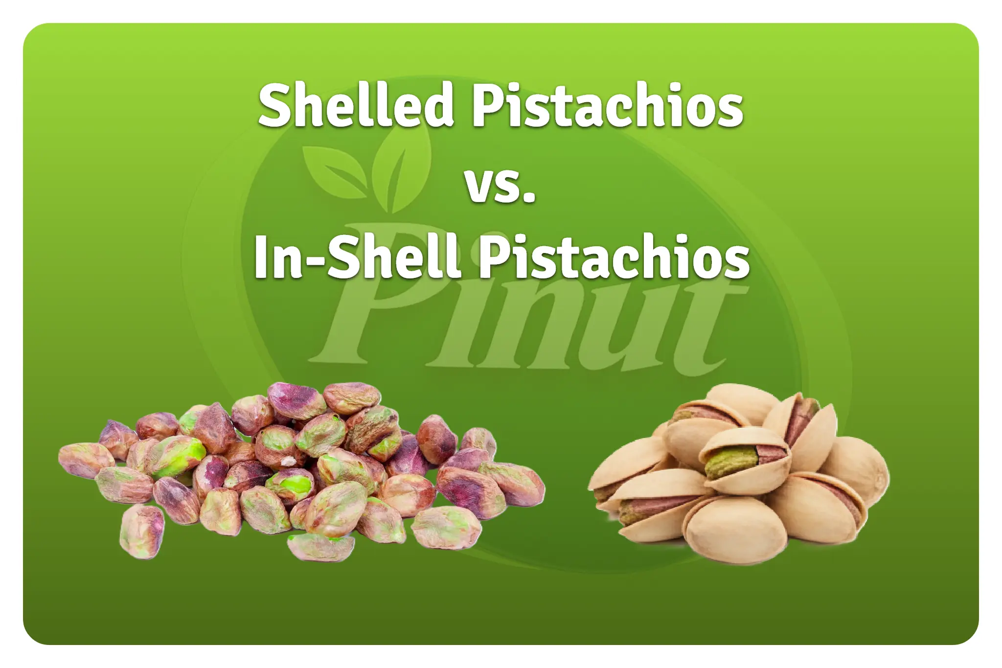 Shelled Pistachios vs. In Shell Pistachios The Ultimate Guide for Buyers