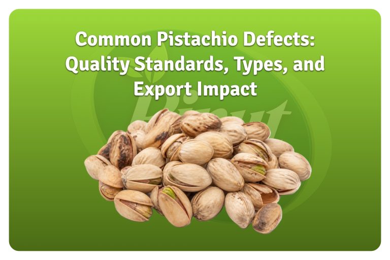 Common Pistachio Defects Quality Standards, Types, and Export Impact-featured image