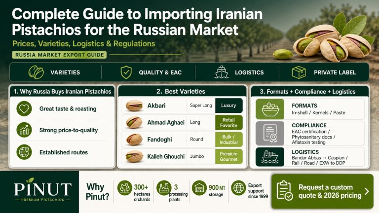 Complete Guide to Importing Iranian Pistachios for the Russian Market-infographic