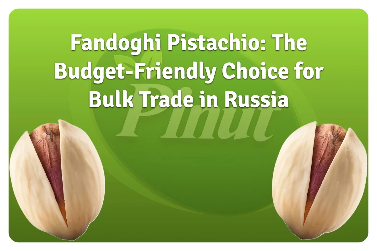 Fandoghi Pistachio The Budget-Friendly Choice for Bulk Trade in Russia-featued image