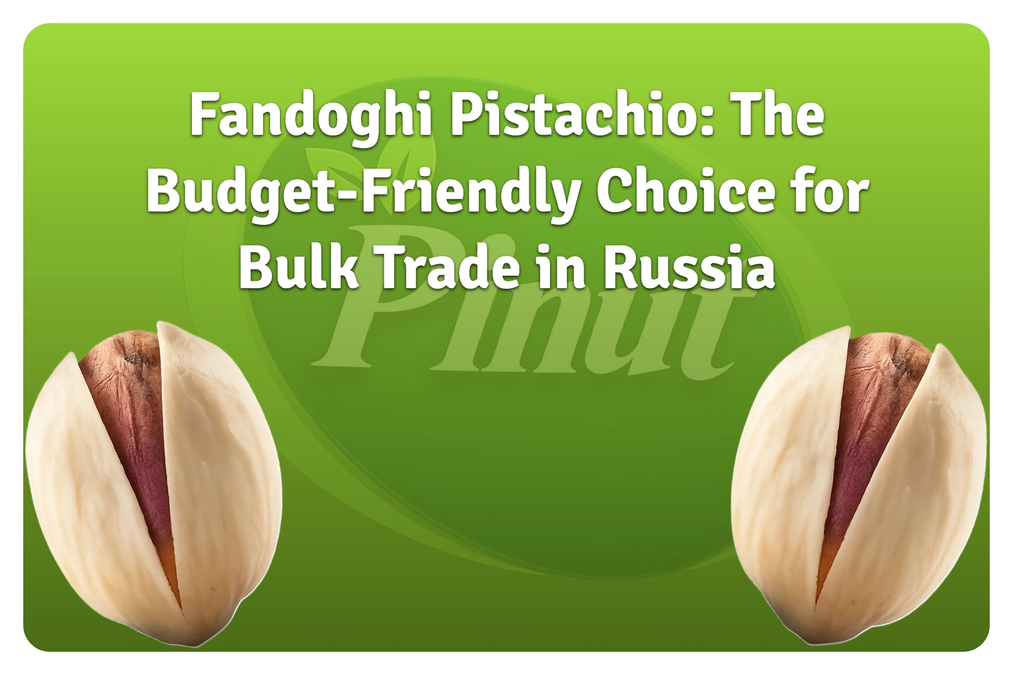 Fandoghi Pistachio The Budget-Friendly Choice for Bulk Trade in Russia-featued image