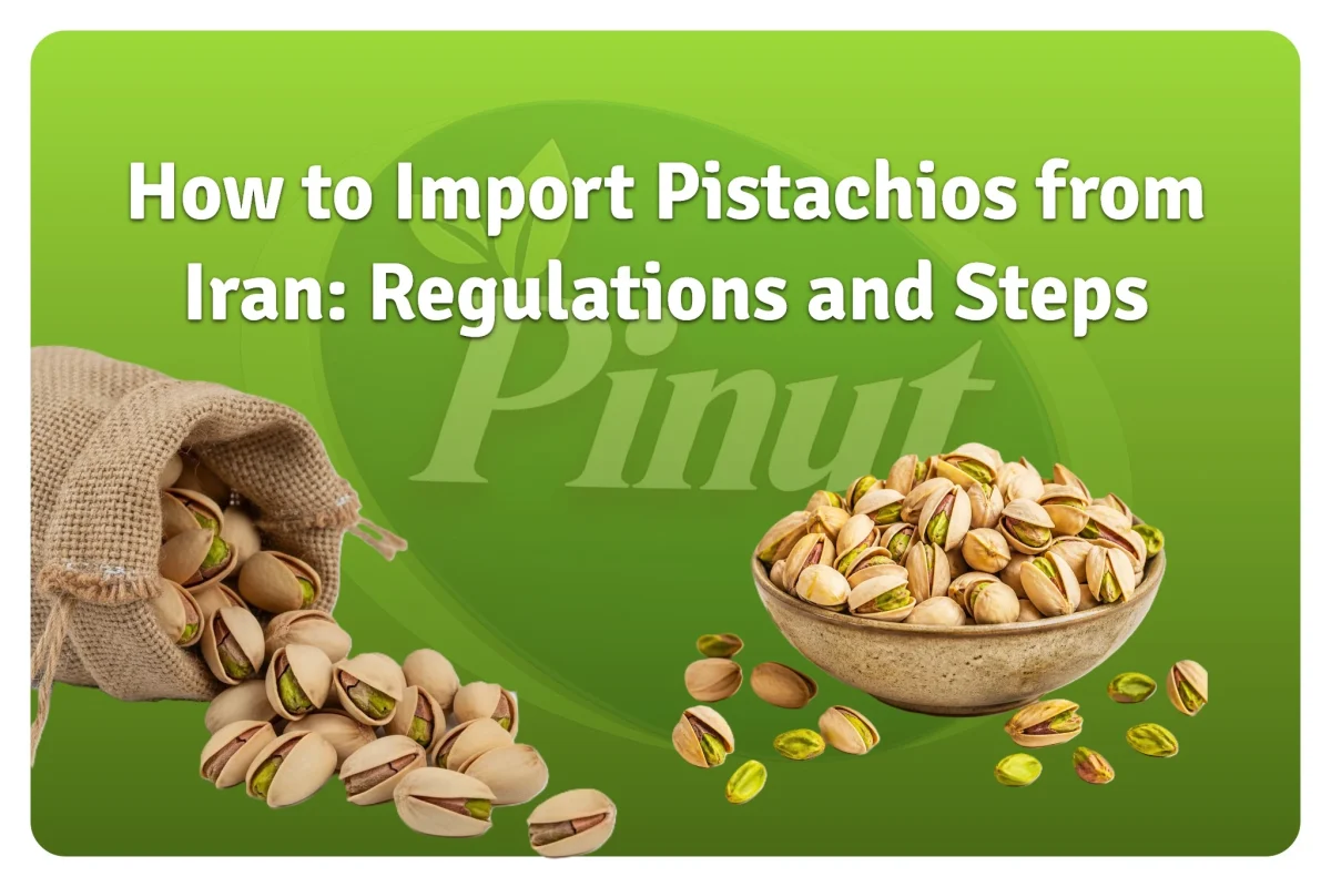 How-to-Import-Pistachios-from-Iran-Regulations-and-Steps featured image