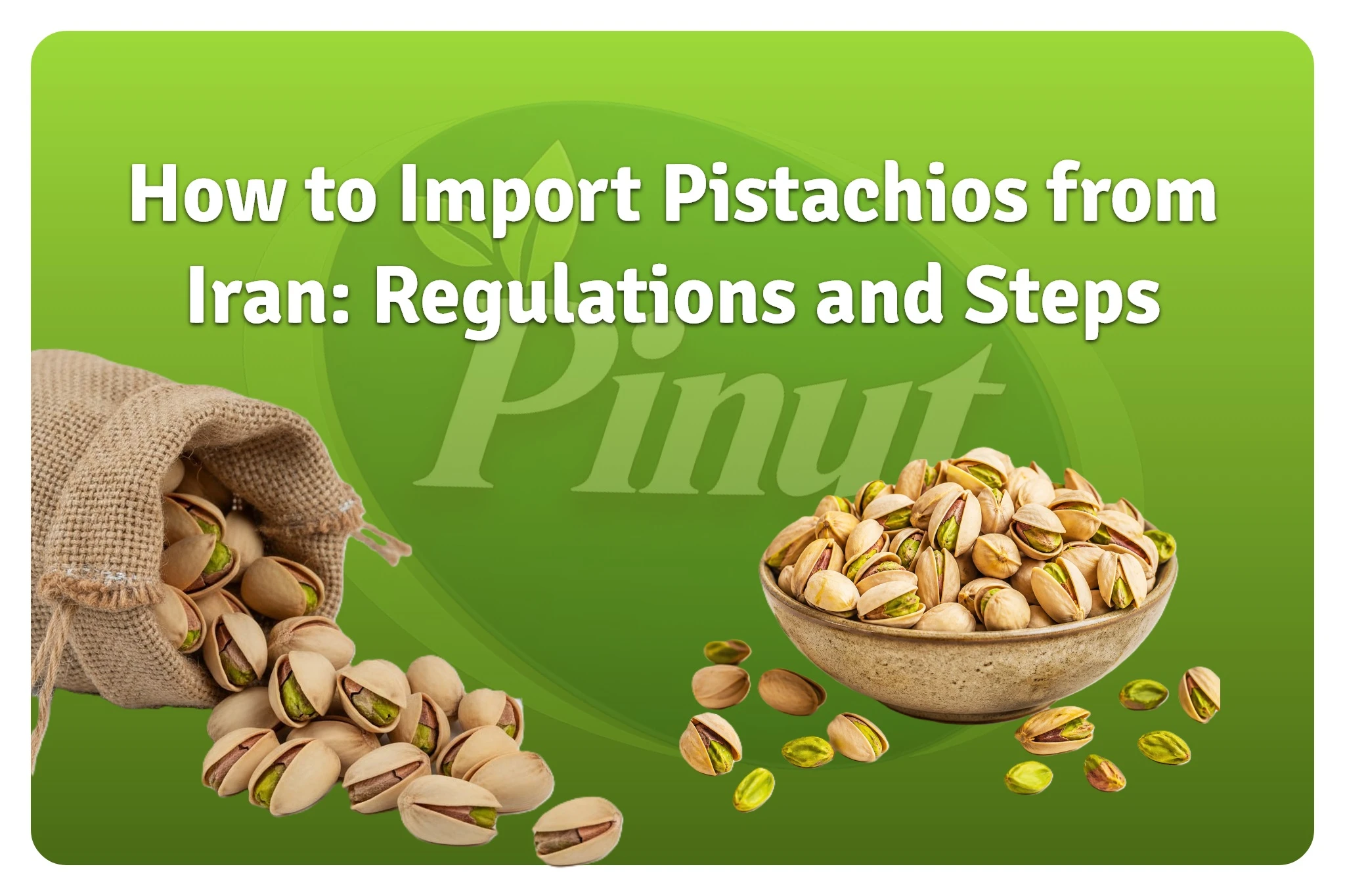 How-to-Import-Pistachios-from-Iran-Regulations-and-Steps featured image