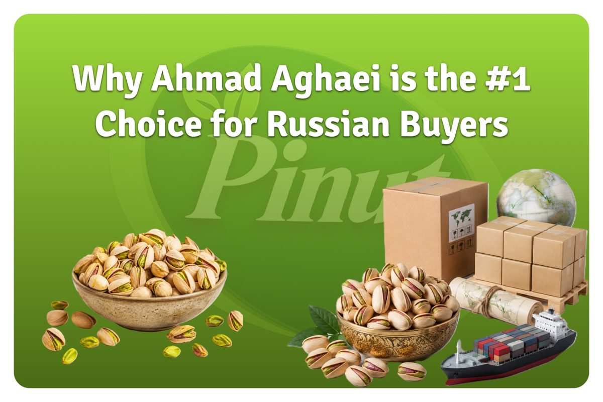 Why Ahmad Aghaei is the #1 Choice for Russian Buyers-featured image