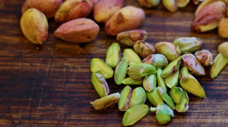Pistachio kernel beside fresh pistachios in shell