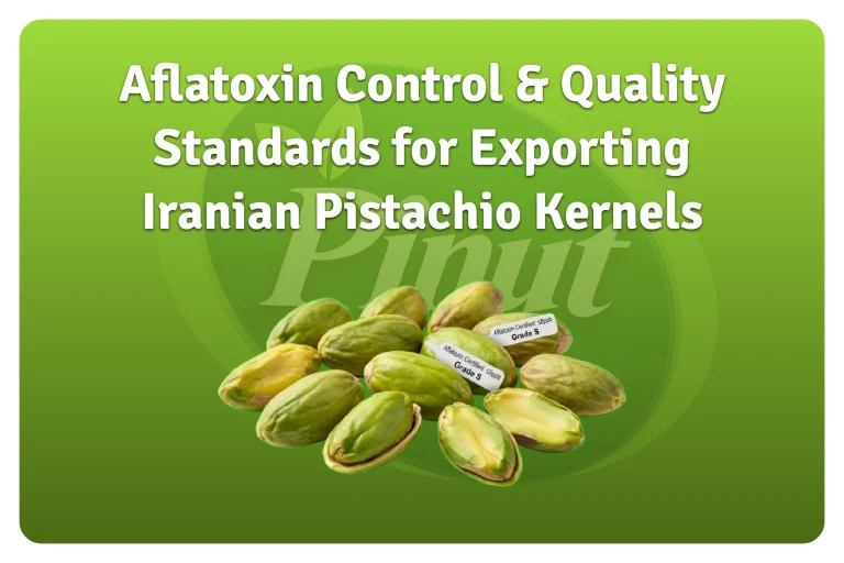 Aflatoxin Control & Quality Standards for Exporting Iranian Pistachio Kernels-featured image
