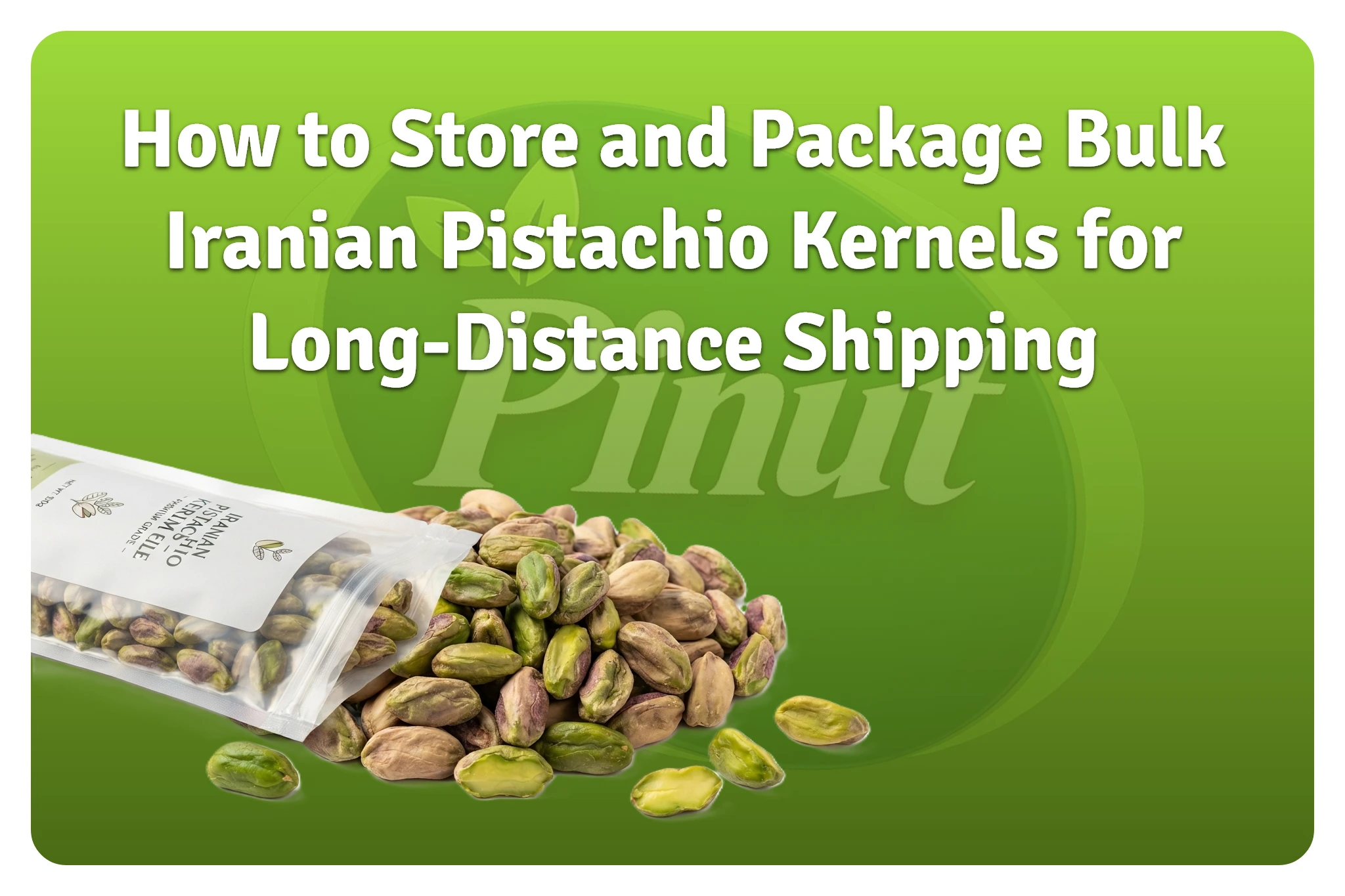 How to Store and Package Bulk Iranian Pistachio Kernels for Long-Distance Shipping-featured image