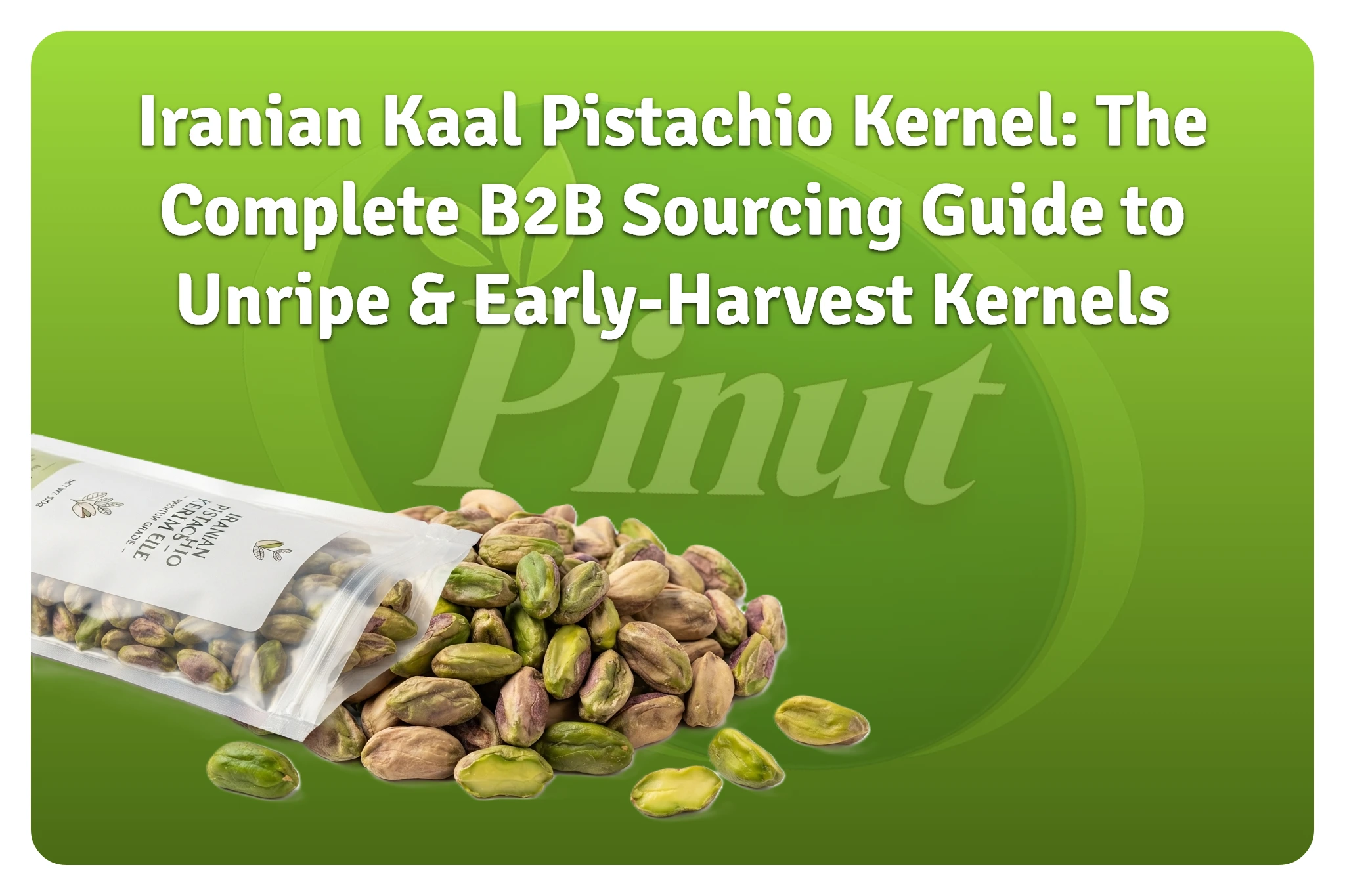 Iranian Kaal Pistachio Kernel The Complete B2B Sourcing Guide to Unripe & Early-Harvest Kernels-featured image