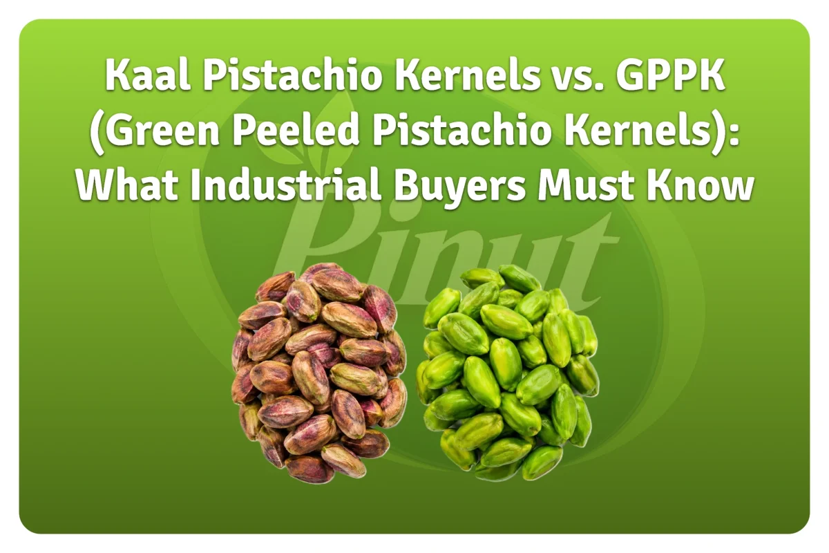 Kaal Pistachio Kernels vs. GPPK (Green Peeled Pistachio Kernels) What Industrial Buyers Must Know-featured image