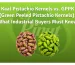 Kaal Pistachio Kernels vs. GPPK (Green Peeled Pistachio Kernels) What Industrial Buyers Must Know-featured image