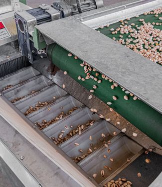 A sorting machine for pistachio
