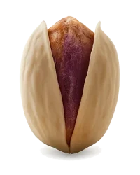 Jumbo pistachio Premium Iranian Jumbo pistachio