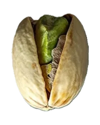 Mechanically opened pistachio Premium Iranian mechanically-opened pistachio